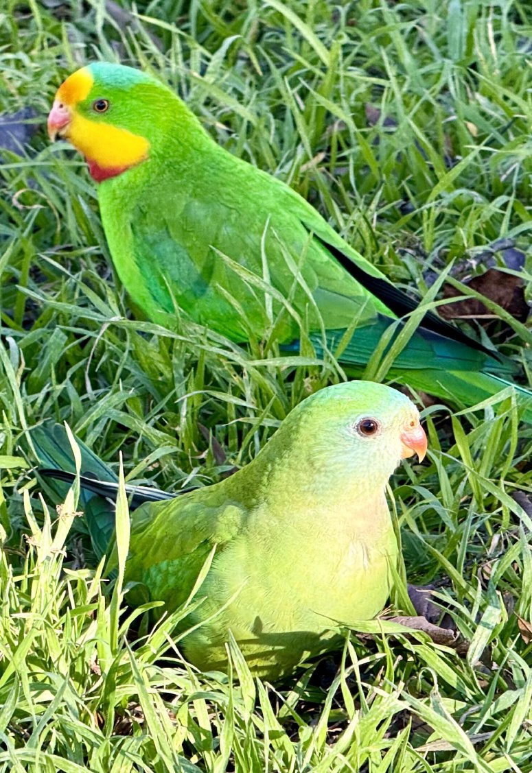 happy pictures