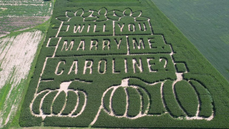 farmer cornfield proposal