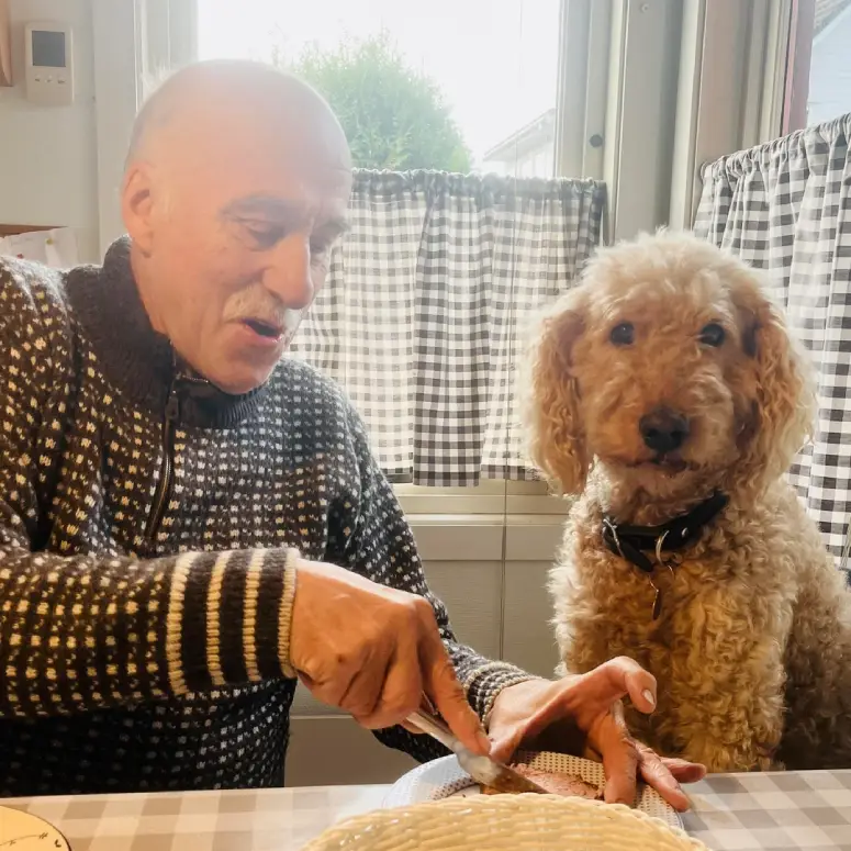 dog breakfast with dad wholesome