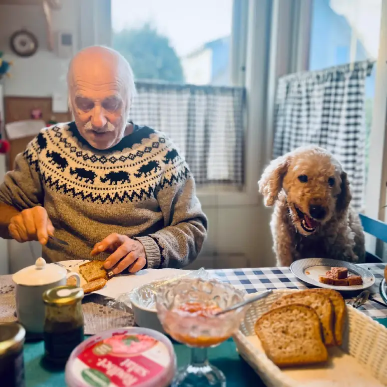 dog breakfast with dad wholesome