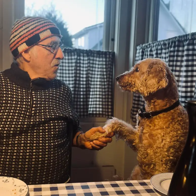 dog breakfast with dad wholesome