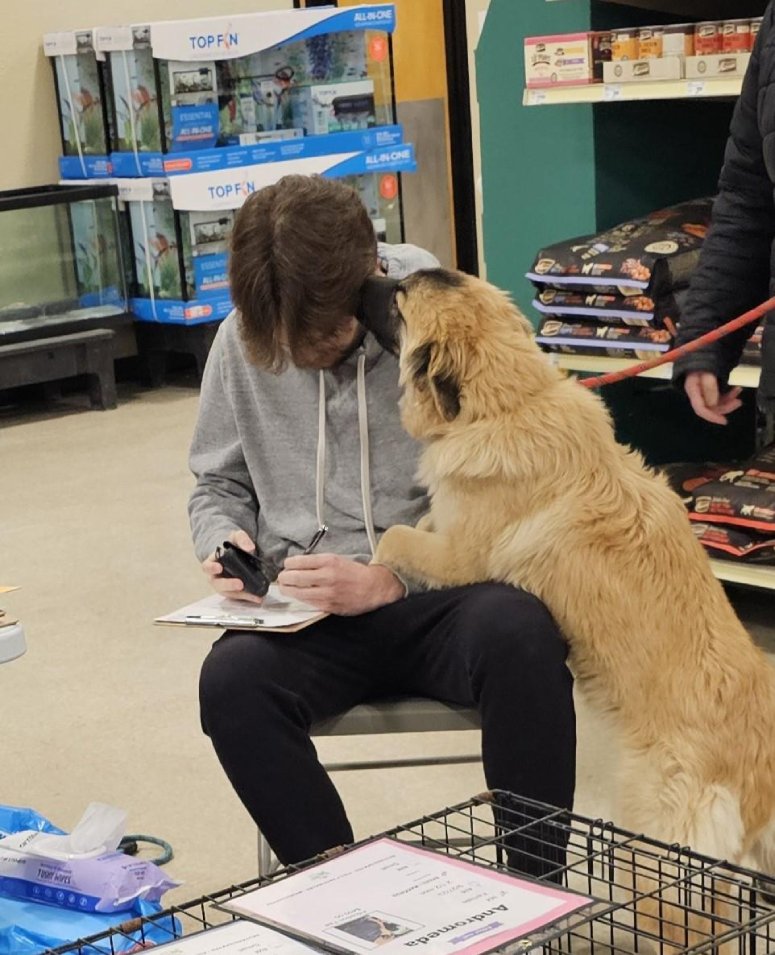 adoption dog day thank you
