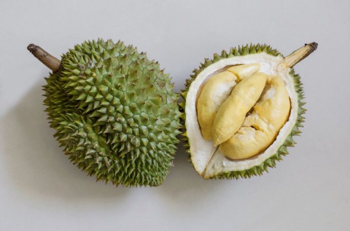 durian fruit gas leak