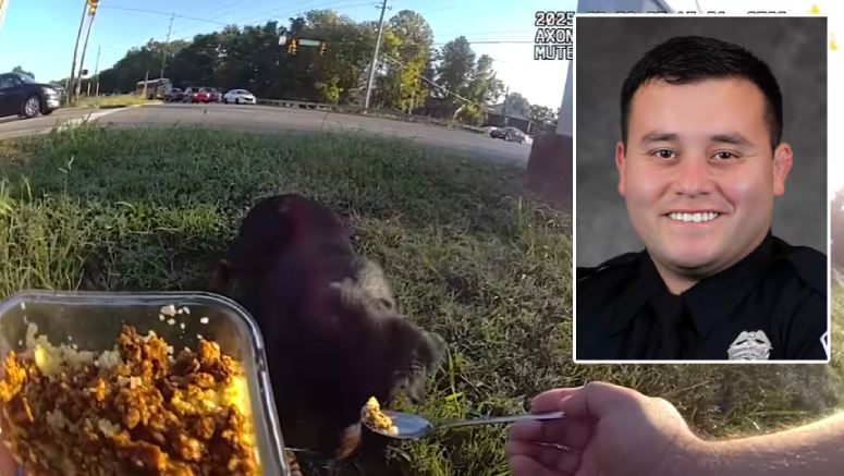 police officer helps injured dog