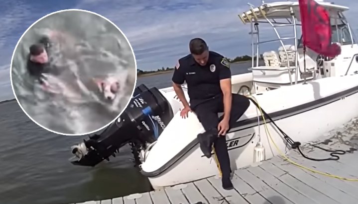 police officer rescues dog from water
