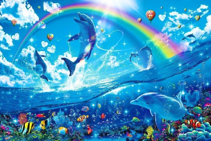 dolphins rainbow video
