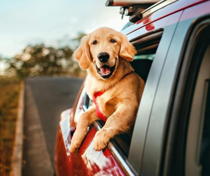 inspirational stories