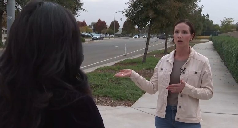 grandma hero saves child