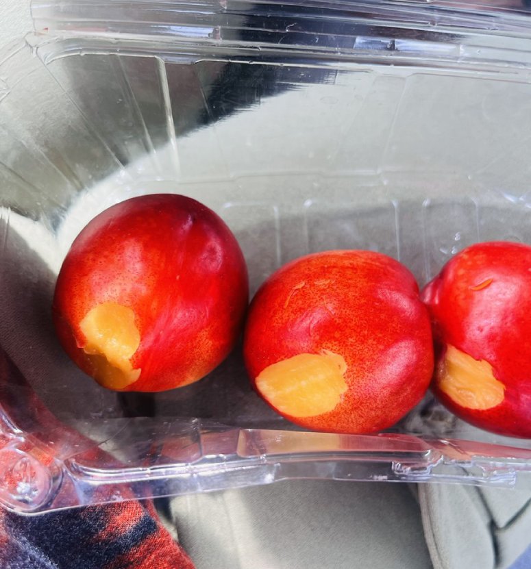 little girl arrested biting nectarines