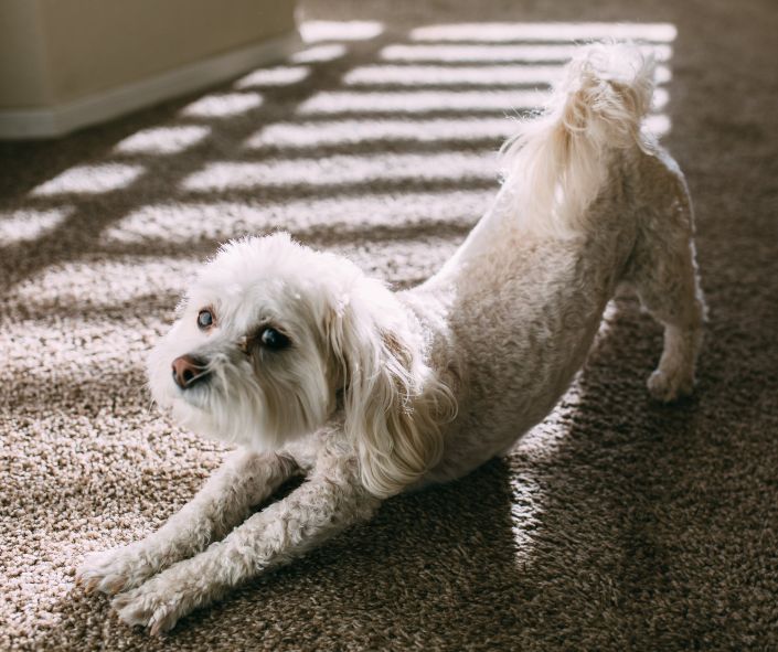 inspirational stories