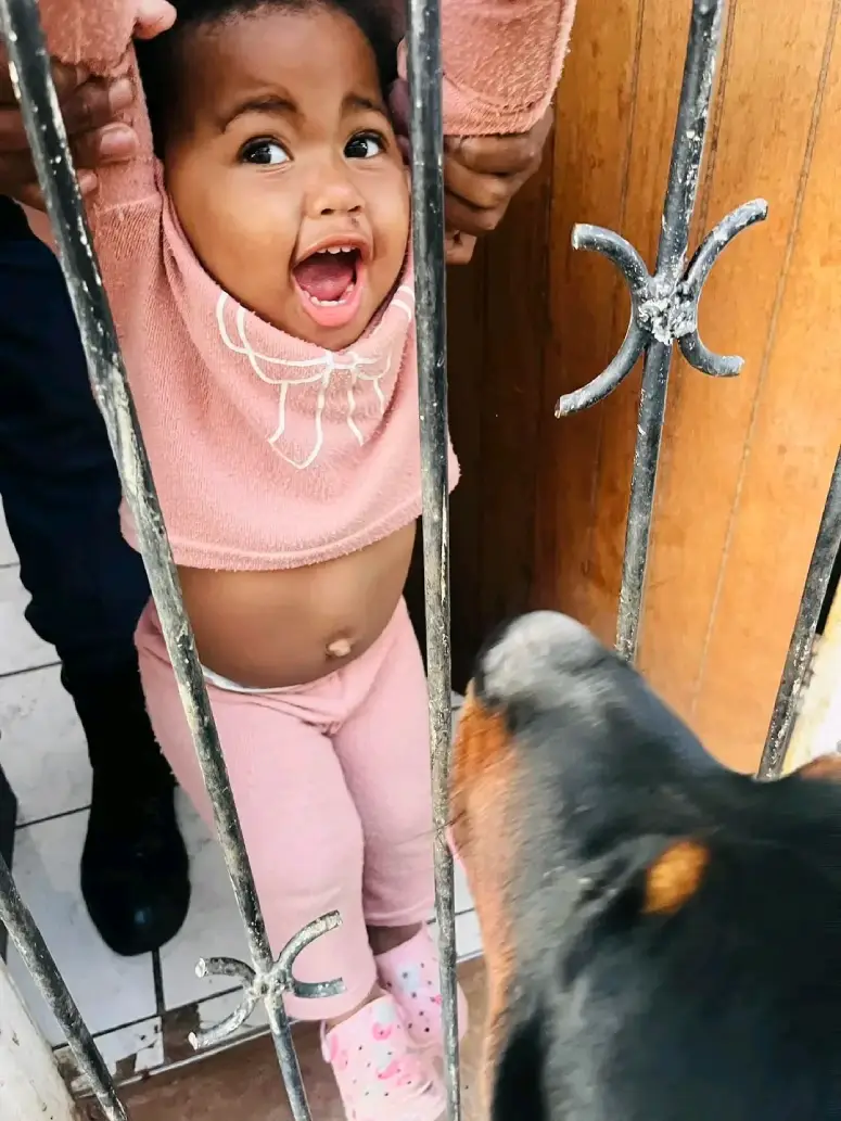 little girl arrested biting nectarines