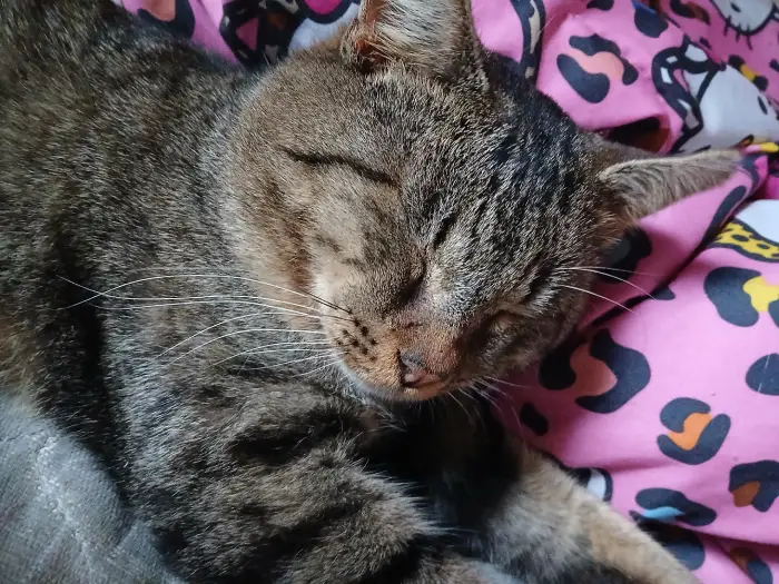 inspirational stories