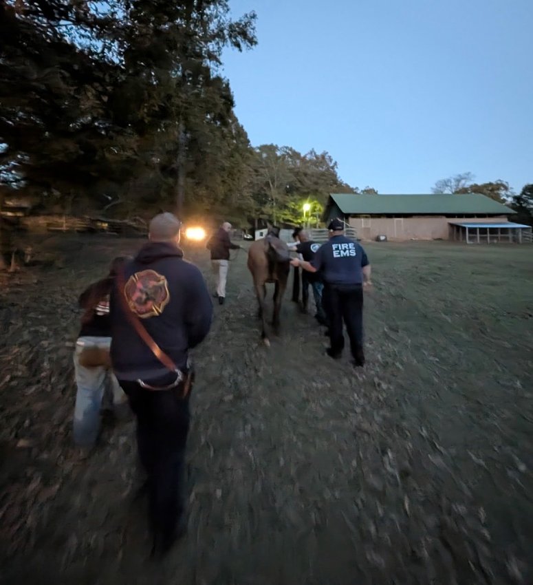 rescue horse operation