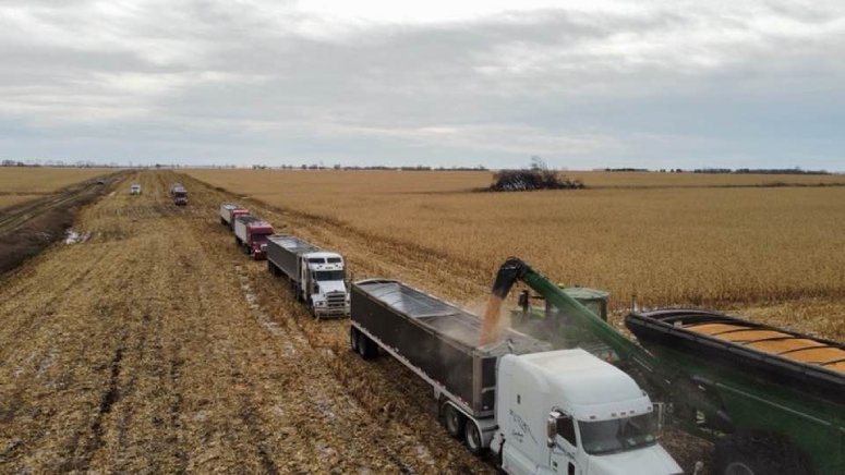 farmers help harvest late friend