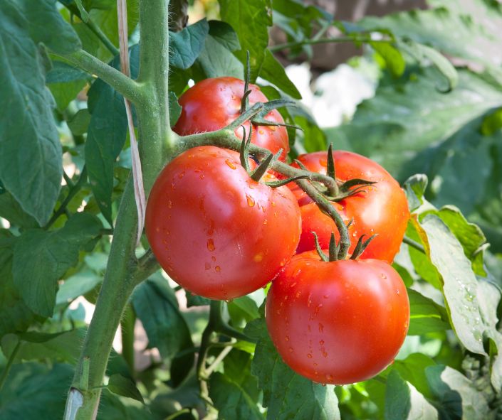 inspirational stories