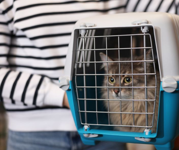 inspirational stories