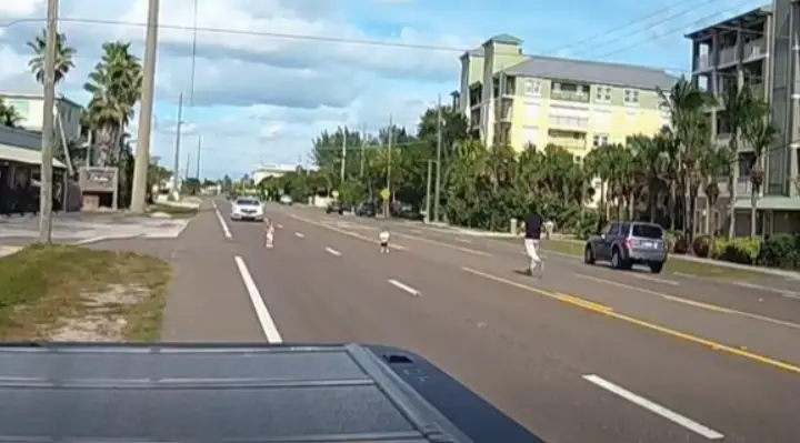 Man Saves Two Toddlers Who Wandered Into The Middle Of A Busy Highway