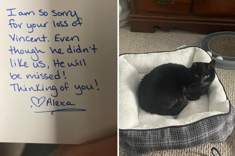 funny card from vet after loss