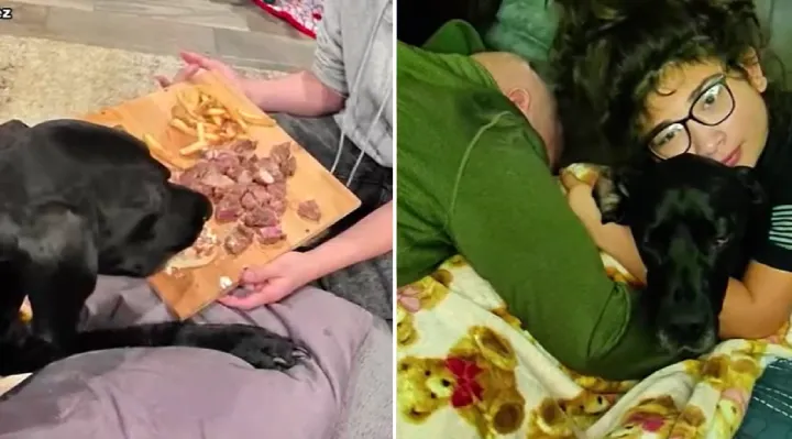 Outback Steakhouse Employee Uses His Own Money To Pay For Dogs’ Final Meal