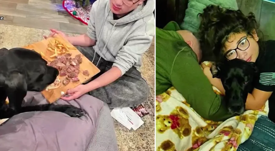 Outback dog last meal