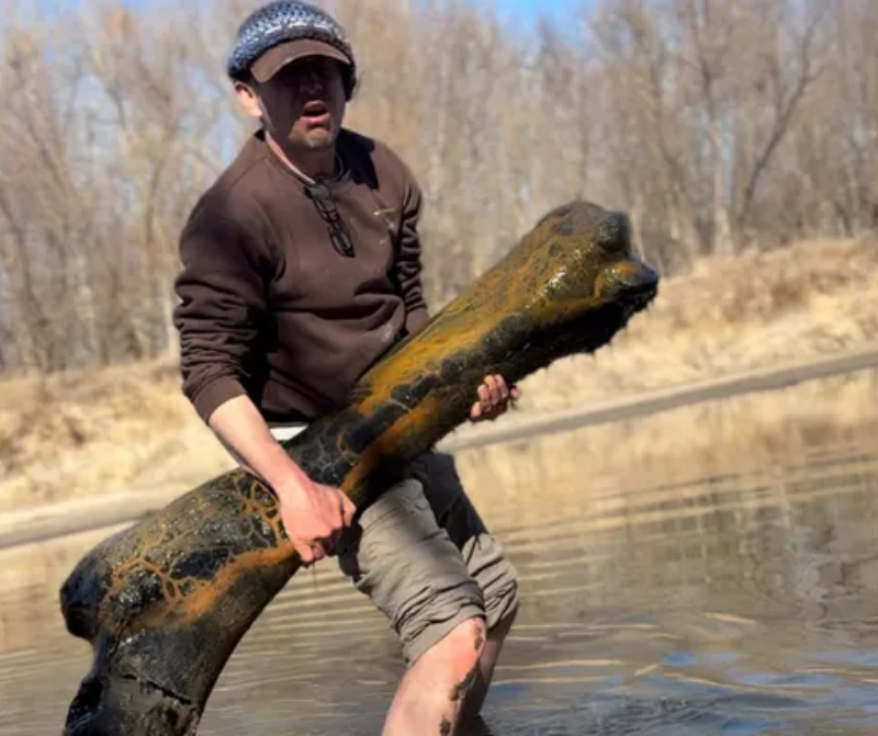 man finds massive bone Missouri water