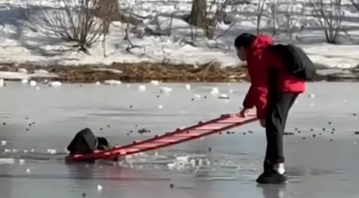 and#039;I Just Instantly Ran To Help Himand#039;: NYC Teen Rescues Child From Frozen Pond