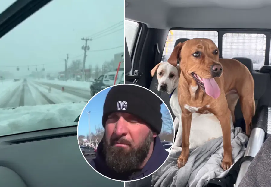 snow plow driver rescues dogs blizzard