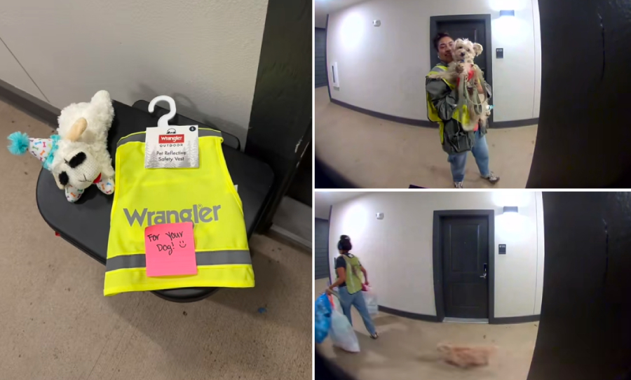 woman buys matching vest for trash lady dog