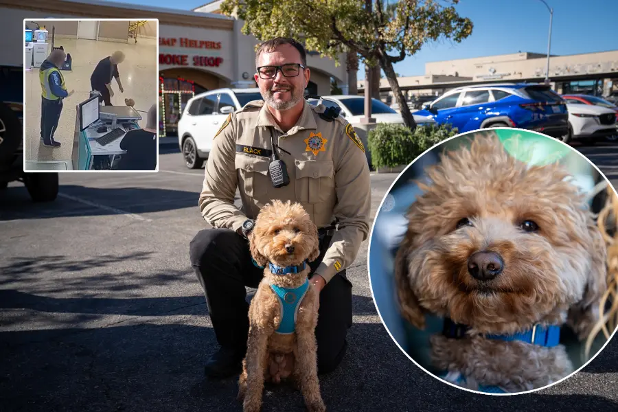 police adopt abandoned dog airport
