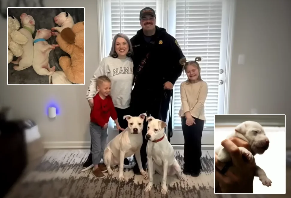 firefighter rescues and adopts puppies