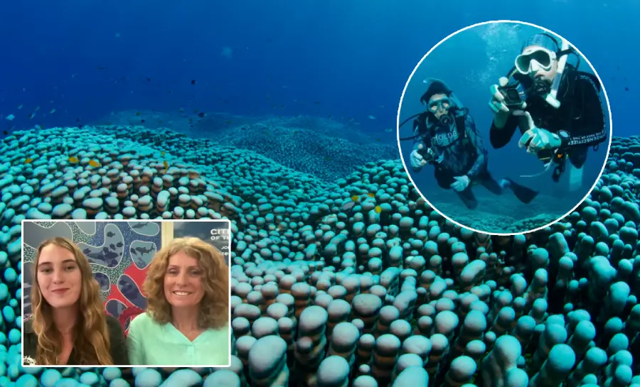 mother daughter discover massive coral reef