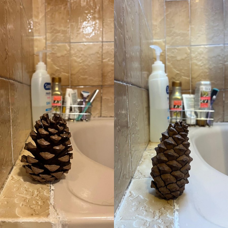 pinecone open and close in shower