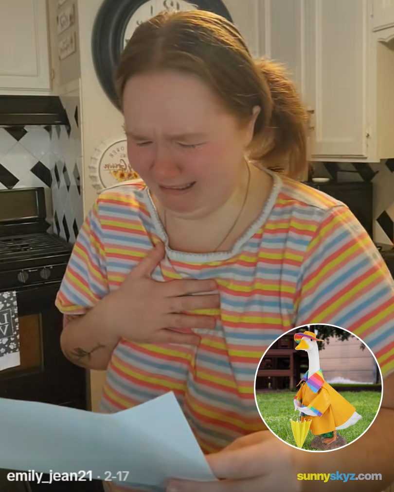 porch goose outfits story Emily