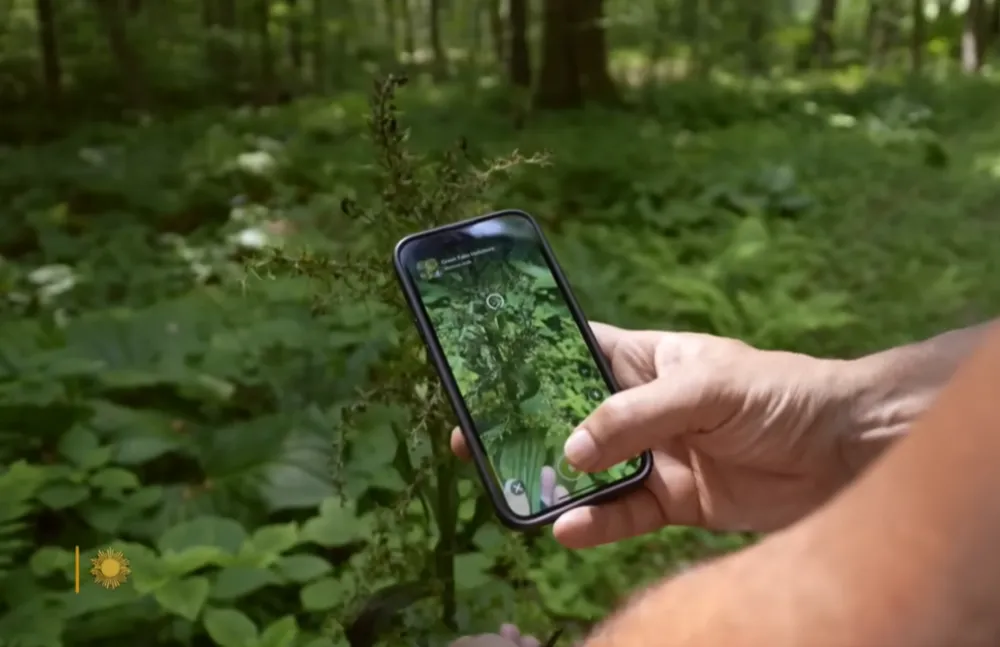 iNaturalist app