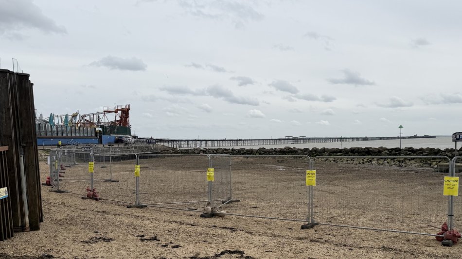 mother daughter quick sand rescue