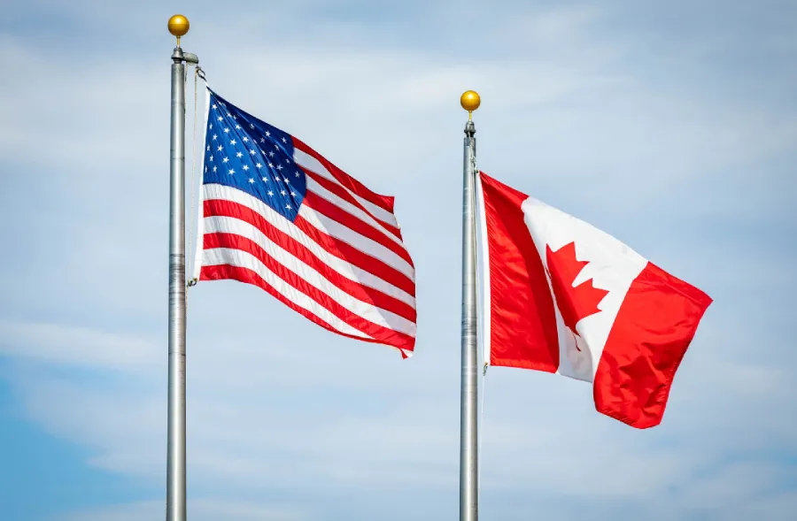 cat crosses US Canada border