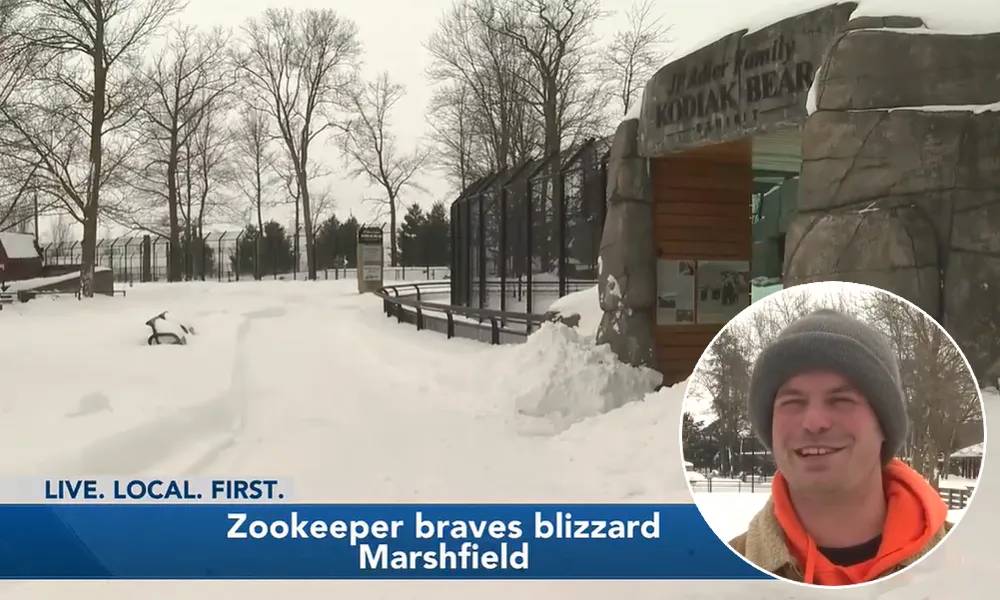 zookeeper helps animals blizzard