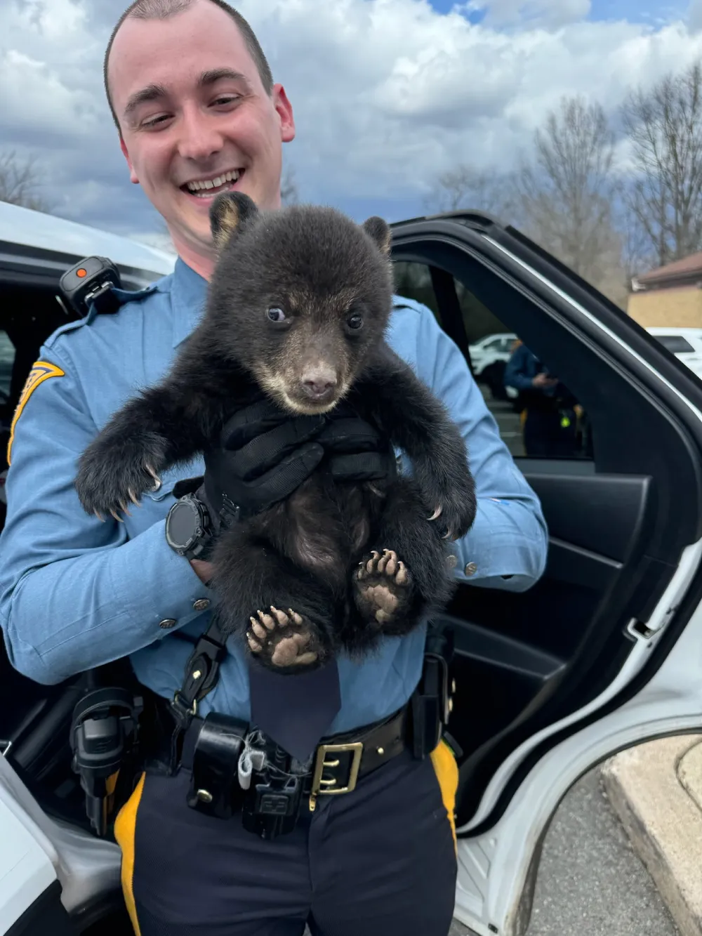 troopers rescue bear cub
