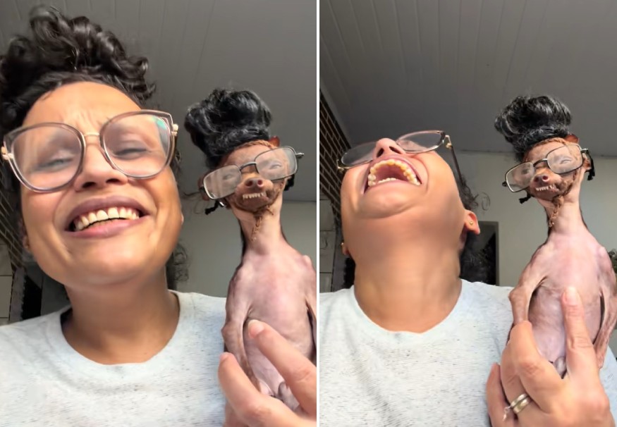 woman and dog twins wig glasses video